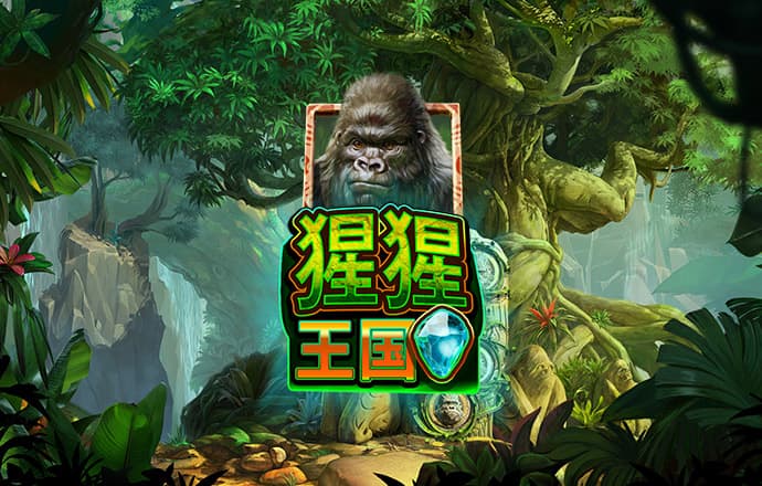 云体育平台入口官网